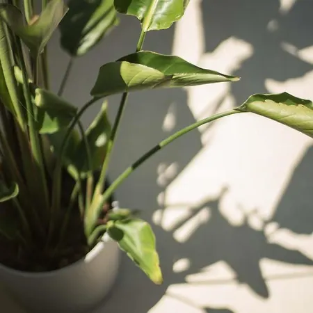 Laresidenza Istria * Poreč